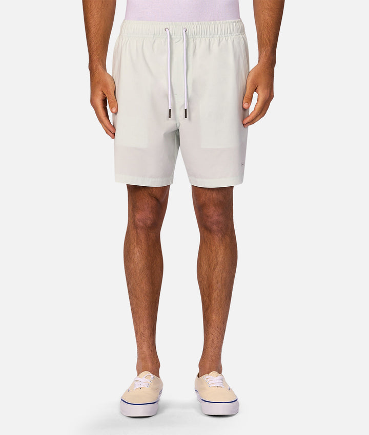 The Barbados Swim Short - Fog 25